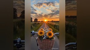 ПЕСНИ. Suno .ЗНАЕТЕ КАКОЕ ОБСТОЯТЕЛЬСТВО. Romas  А ВАМ ВСТРЕЧАЛИСЬ СОЛНЕЧНЫЕ ЛЮДИ.ВИДЕО  МОЁ.