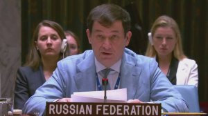 «Сельди в бочке» и «театр абсурда»: как Россия ответила на обвинения в ООН