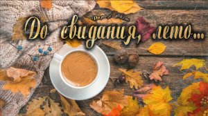 Два шага до осени... Стрекозы, пчелы. Природа в жёлтых красках. Август 2025