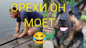 Вести с Кубани.О том о сём