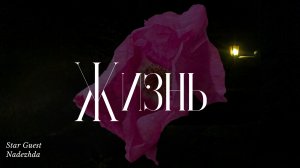 Жизнь✨