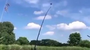 Видео от За Трофеем: Охота и Рыбалка