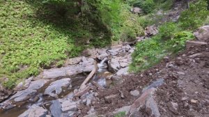 Роза хутор 2025 Сочи