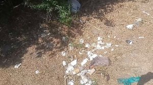 "Чистая" улица Замковая. Напротив полиции, стоянка машин также, в бутылках! 29.08.2025 г.