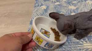 Вкусный завтрак - залог прекрасного настроения