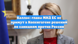 Каллас: главы МИД ЕС не примут в Копенгагене решений по санкциям против России