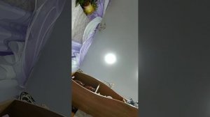 я дома (вася орёт)