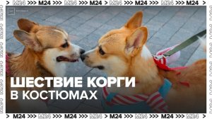 Более 600 собак приняли участие в костюмированном параде корги -  Москва 24