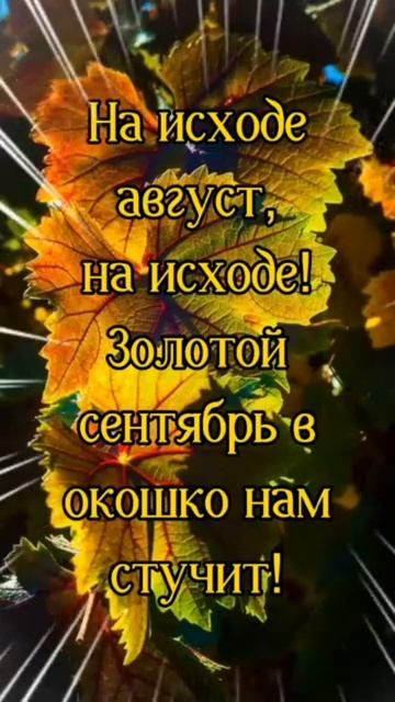 ДО СВИДАНИЯ, ЛЕТО! ДО НОВЫХ ВСТРЕЧ! 🥰 смотреть онлайн