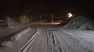 Лисенок вышел из тайги к людям, от нехватки еды в лесу.