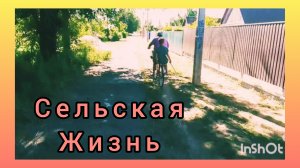 СИДЕЛА ЖЕНЩИНА СКУЧАЛА..ПРОГУЛКА ЗА ПОМИДОРАМИ..ОБЩЕНИЕ!)