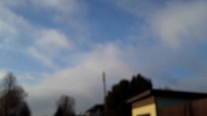 Весна в январе. Птички поют-архив-30.01.25