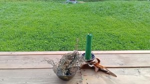 Ритуал развития потенциала разума. Восстановление связи со стихией воздуха.