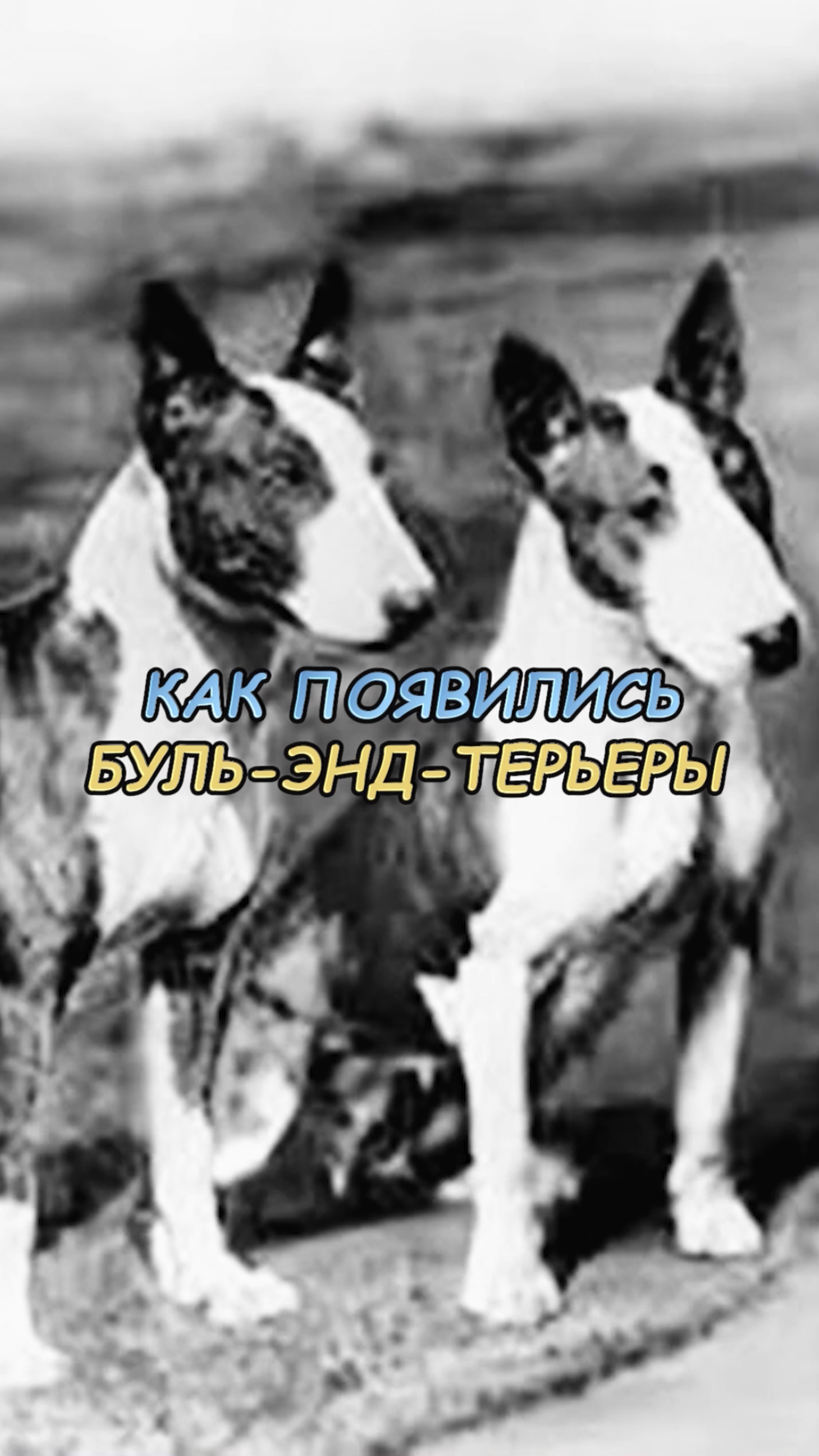 🎁Бесплатные уроки. Жми сюда! смотреть онлайн