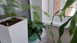 Приобщаем младшенького к труду, доброе утро!