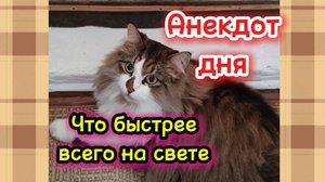 Анекдот дня. Что быстрее всего на