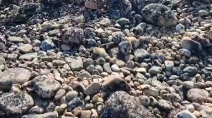 «Яйца драконов» — каменный пляж в посёлке Териберка на побережье Кольского полуострова