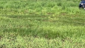 Влог: Отдых в Хакасии . Озеро Иткуль и соленое озеро Шунэт . ( домашнее видео 4 часть )