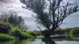 Сплав по реке Шерна, г. Ногинск, 10км, 30.08.2025