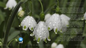 Vladimir Solovyov "White Bellflowers" 1899