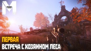 Первая встреча с хозяином леса | Metro: Exodus (2023) #14