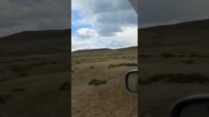 Село Икарал Ононский район Забайкальский край 2025 год