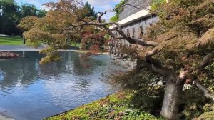 Краснодар-море солнца, радости, веселья!