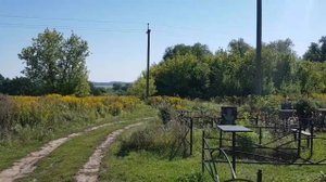 250830 Альшанское кладбище поле посадки сосны Большая Фоминка село Альшань город Орёл Орловский райо