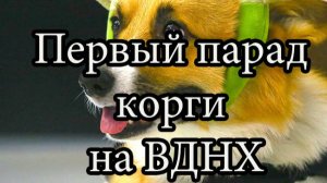 Первый парад корги на ВДНХ(Фрагмент)30.08.2025