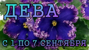 ДЕВА таро прогноз на неделю с 1 по 7 СЕНТЯБРЯ 2025 года.