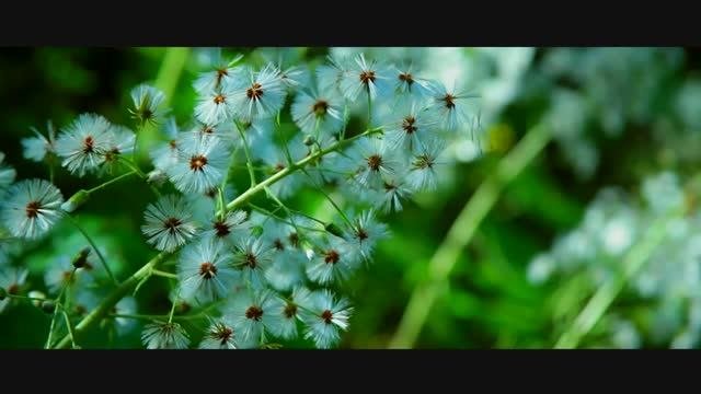 Апрель