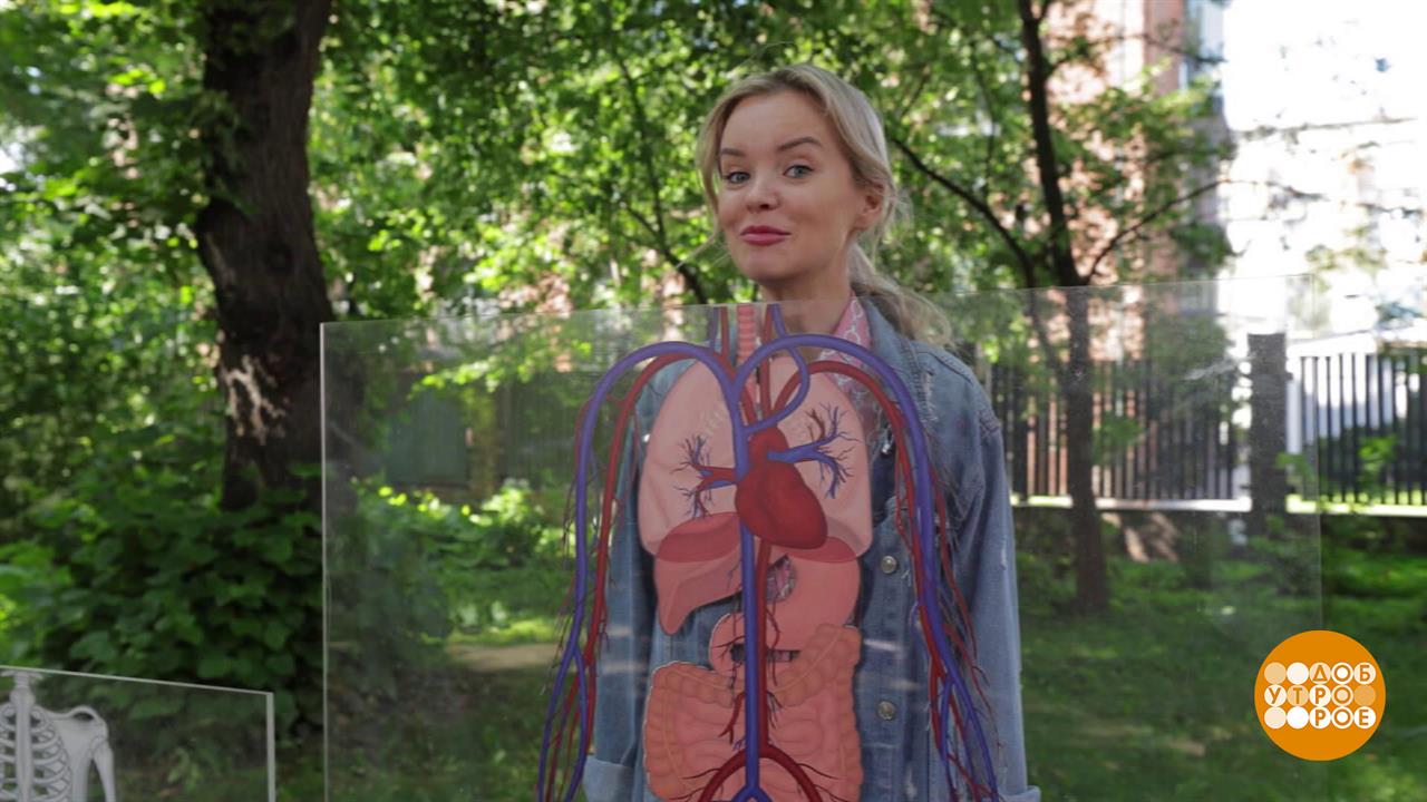 Лето на исходе? Будь пещерным человеком! Доброе утро. Фрагмент выпуска от 30.08.2025