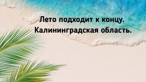 Балтийское море.  Калининградская область.
