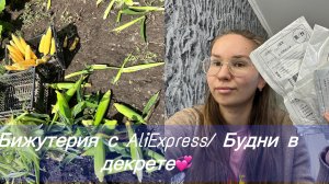 Мотивация на домашние дела/ покупки из AliExpress до 200 р/ сбор кукурузы/