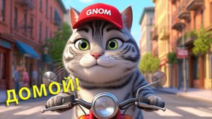Кот Гном: "У меня есть дом!."