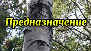 Предназначение.   Часть 1