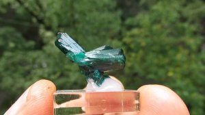 Диоптаз купить