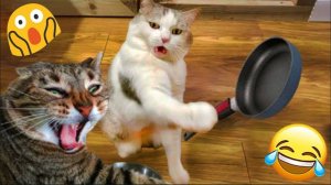 Приколы с животными😸 Смешные видео про животных 😸 Наши любимые смешные животные