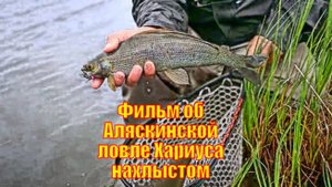 Фильм об Аляскинской ловле Хариуса нахлыстом