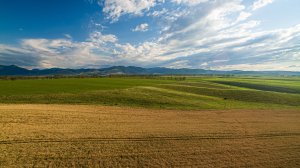 Русское поле