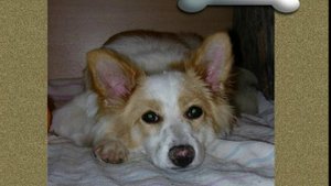 Горькая судьба.PhotoStory1