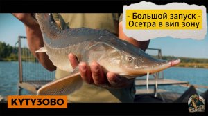 запуск осетра в вип зону 30.08