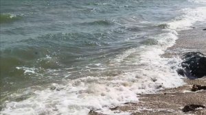 Керчь. Прогулка по Аршинцевской косе 30.08.25