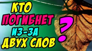 Кто погибнет из-за двух слов? - Борис Сороковский. Христианские проповеди
