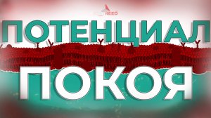Потенциал покоя: Как клетка “спит” и почему это важно? | Физиология