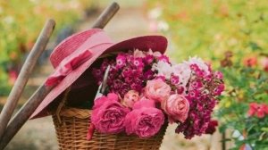 Красивые открытки с добрым утром и новыми пожеланиями 💖