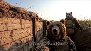 Влог.. Михалыча и его друзья..
