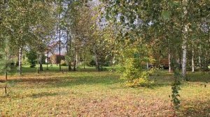 На дачу)  Томаты собираю. Грибы растут. Перчик