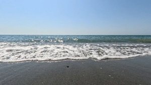 Берег Чёрного моря