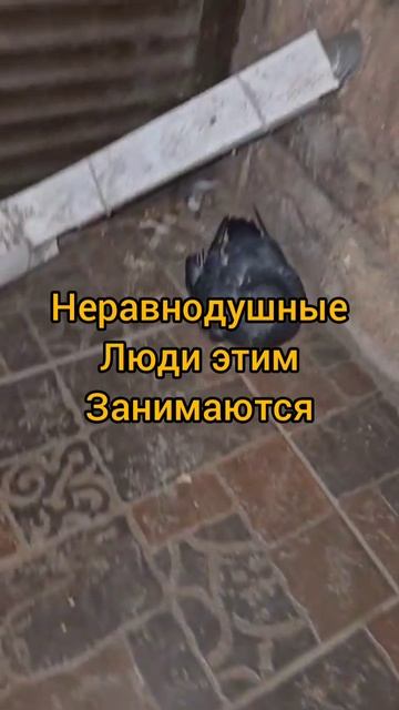 Обнаружен новый пострадавший!